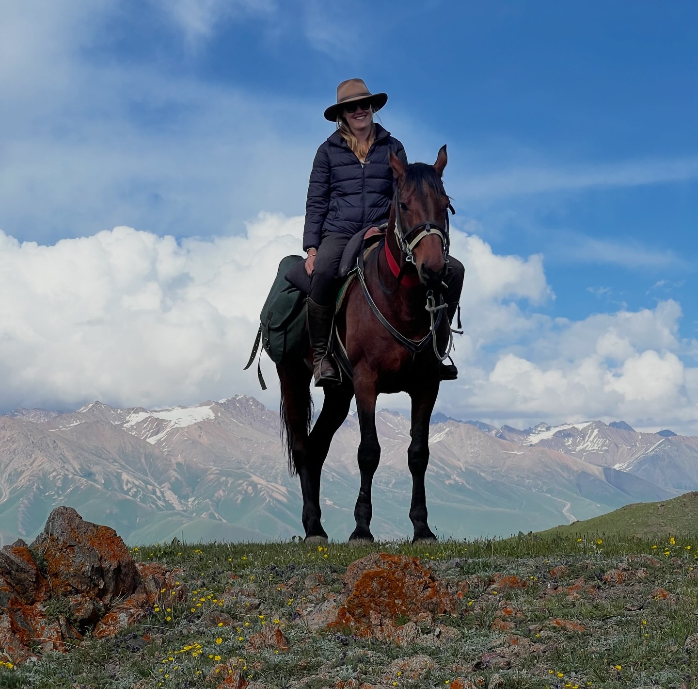 A rider on a bay horse on a ridge, snow-covered peaks behind